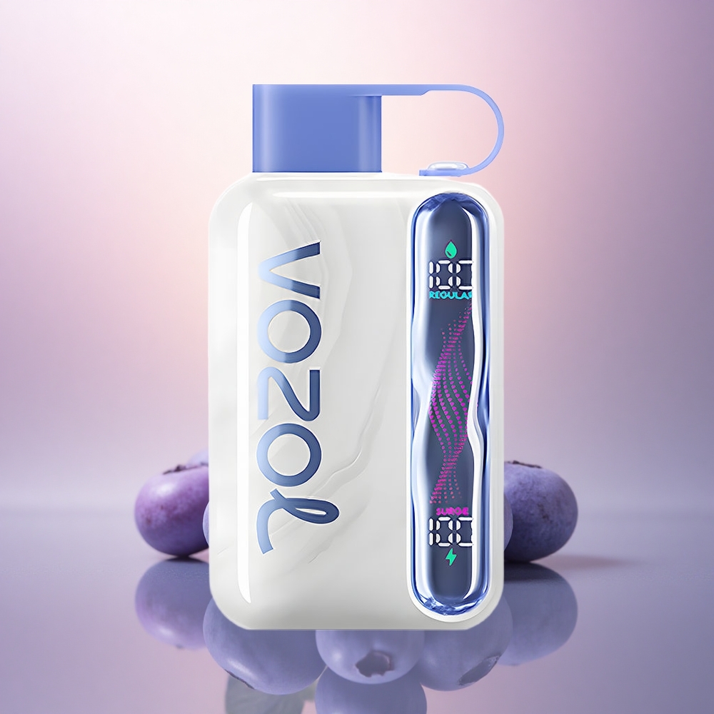 VOZOL STAR 40000 Puffs Menta Arándano 20mg Nicotina 1000mAh